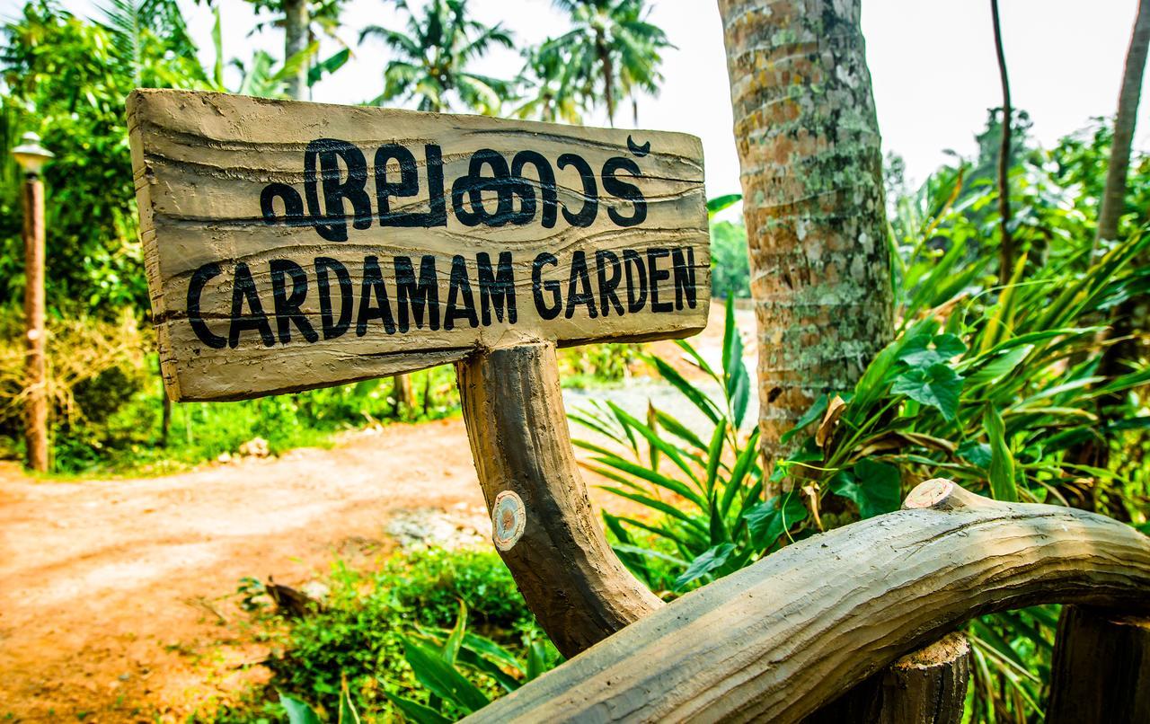 Hotel Mango Meadows Kottayam Exteriér fotografie