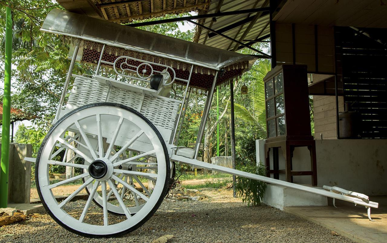 Hotel Mango Meadows Kottayam Exteriér fotografie
