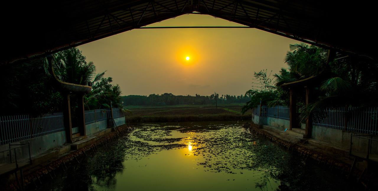 Hotel Mango Meadows Kottayam Exteriér fotografie